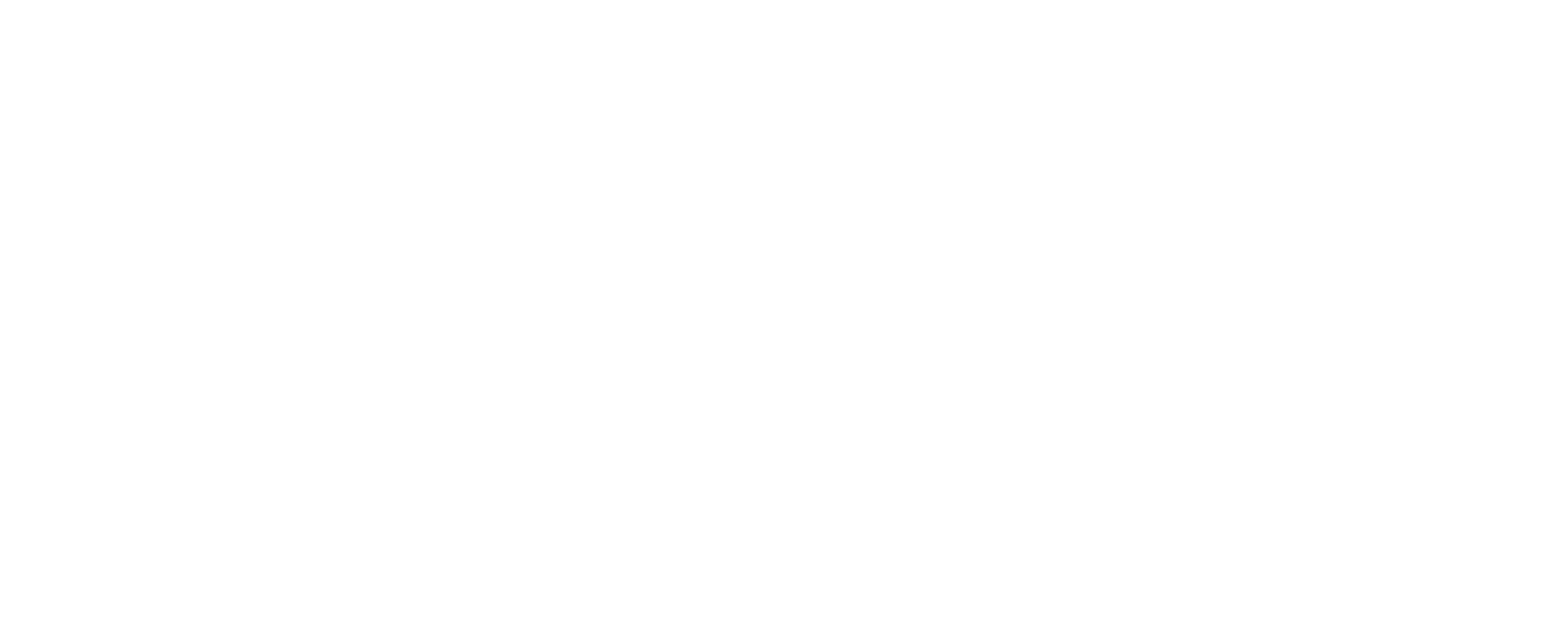 Logo liggande VIT